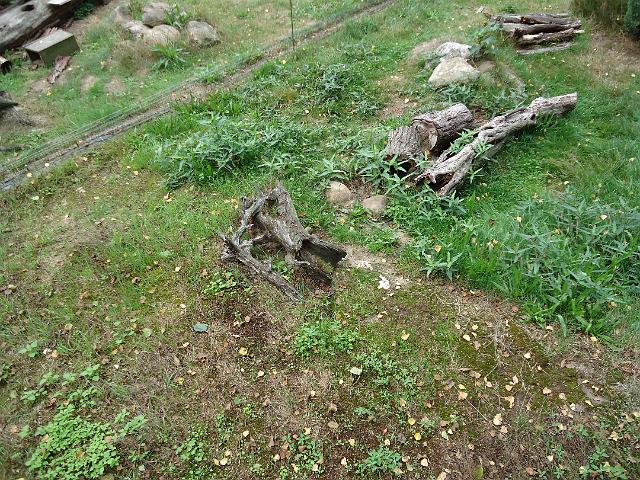 Damenfahrt Otterzentrum 009.jpg